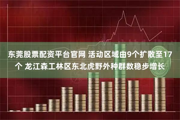 东莞股票配资平台官网 活动区域由9个扩散至17个 龙江森工林区东北虎野外种群数稳步增长