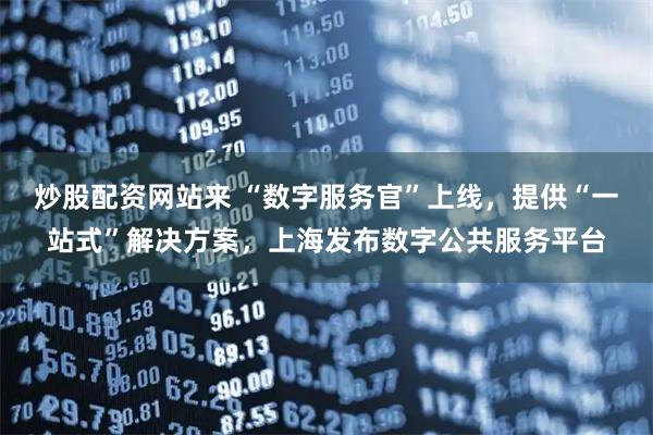 炒股配资网站来 “数字服务官”上线，提供“一站式”解决方案，上海发布数字公共服务平台