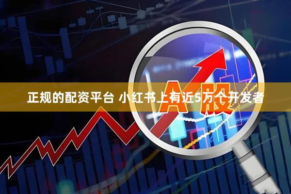 正规的配资平台 小红书上有近5万个开发者